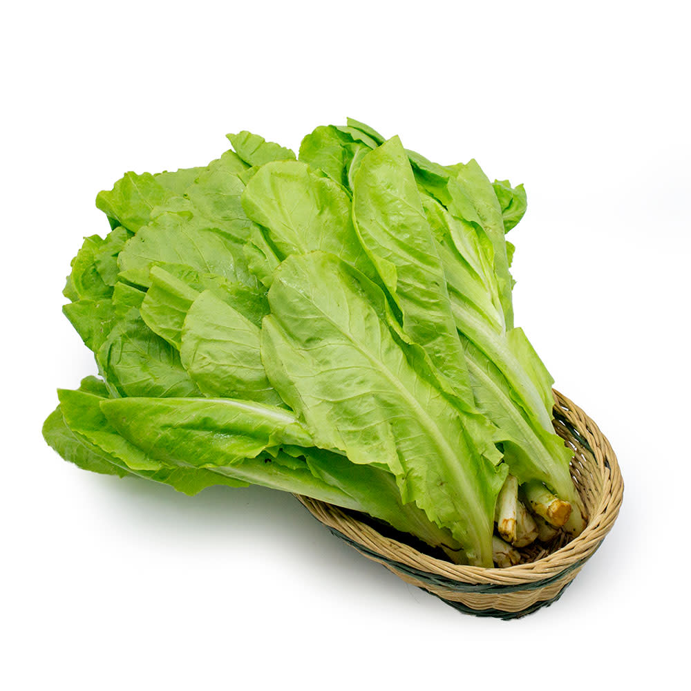 Rau xà lách