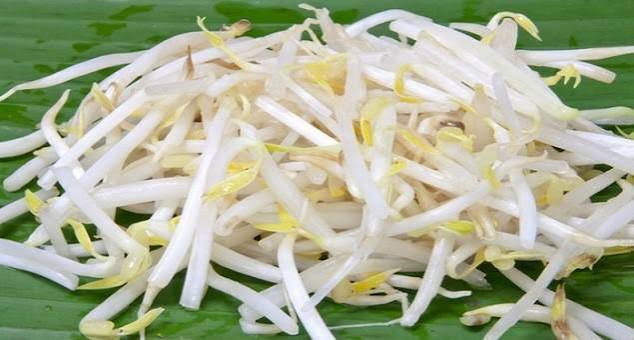 Giá đỗ và rau gia vị - Nguyễn Viết Phong