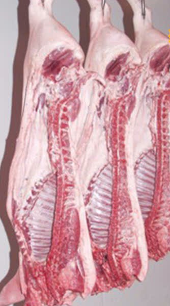 Lợn 2 mảnh CP