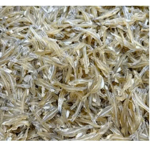Cá cơm