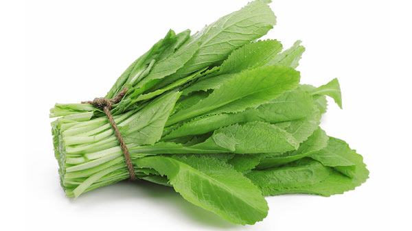Cải xanh