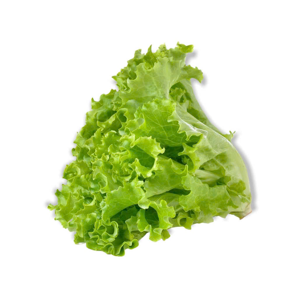 XÀ LÁCH XOĂN