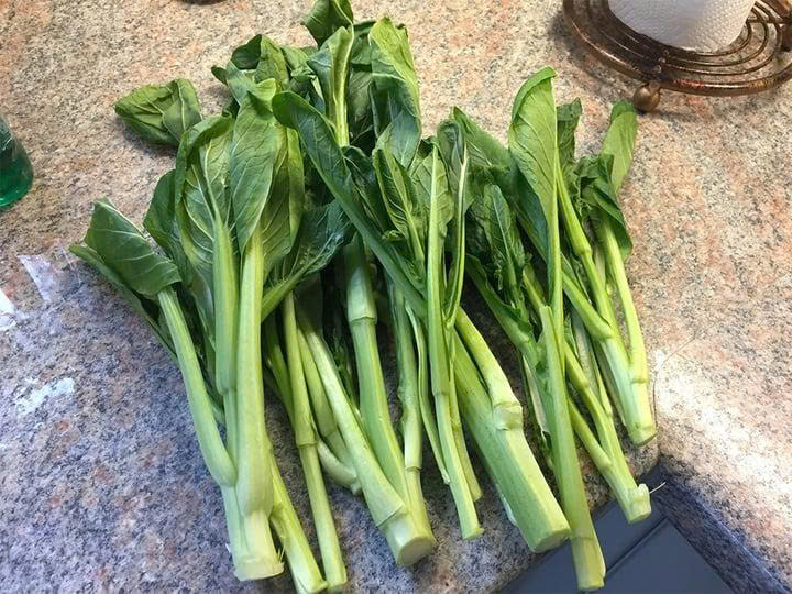 CẢI NGỒNG