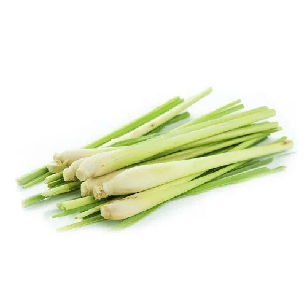 CỦ SẢ