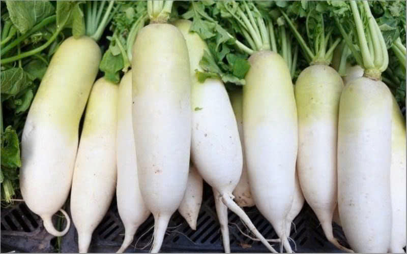 CỦ CẢI TRẮNG