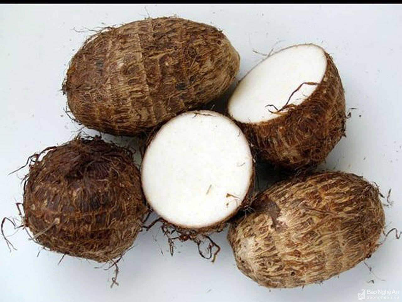 KHOAI SỌ