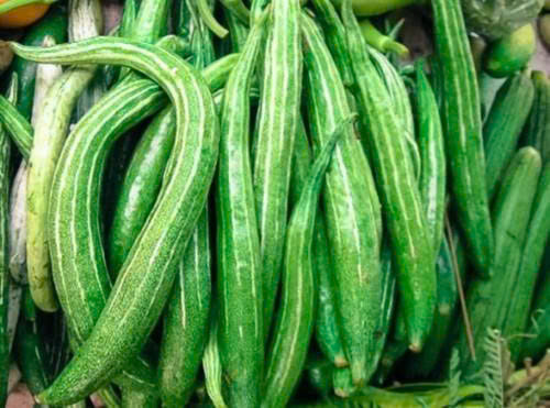 MƯỚP NGỌT
