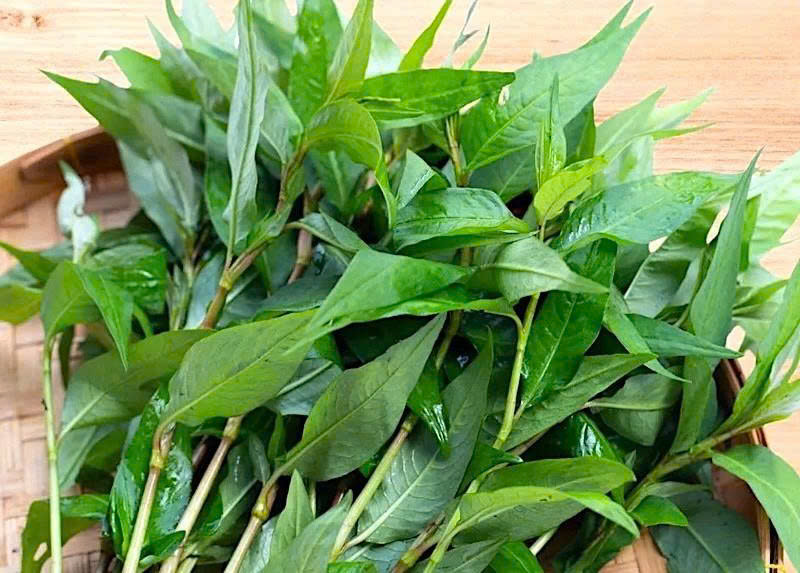 RAU RĂM