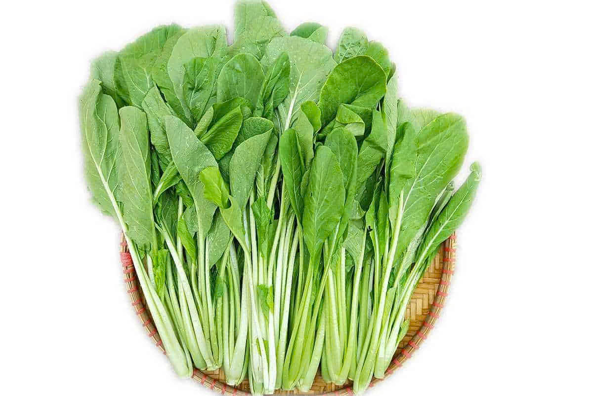 CẢI NGỌT