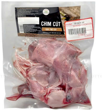Chim cút