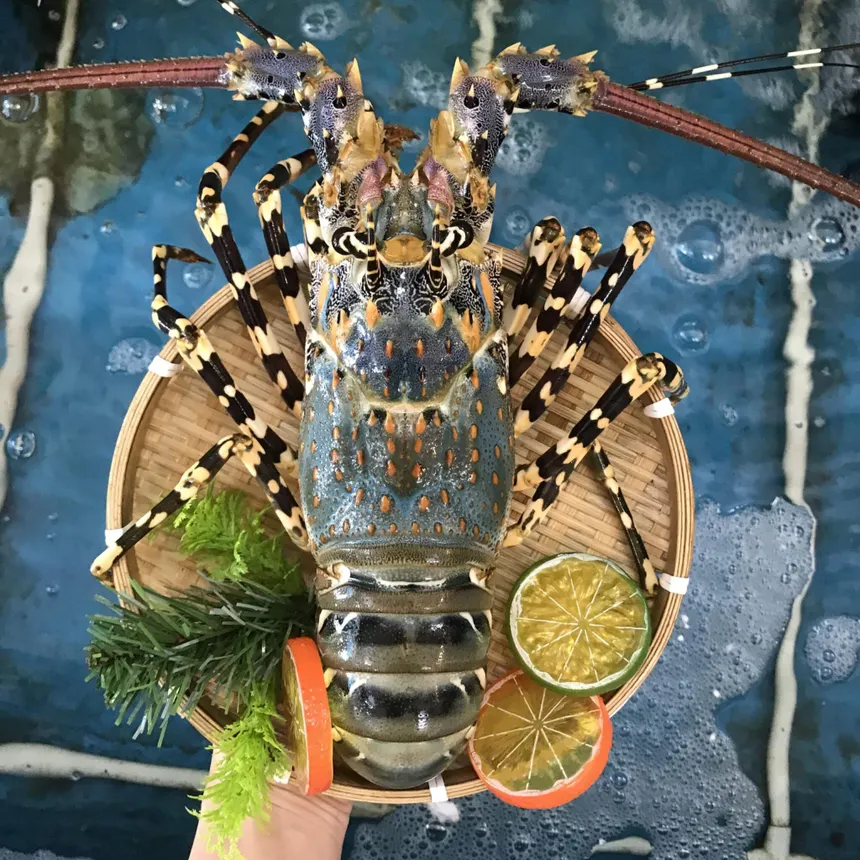 Tôm