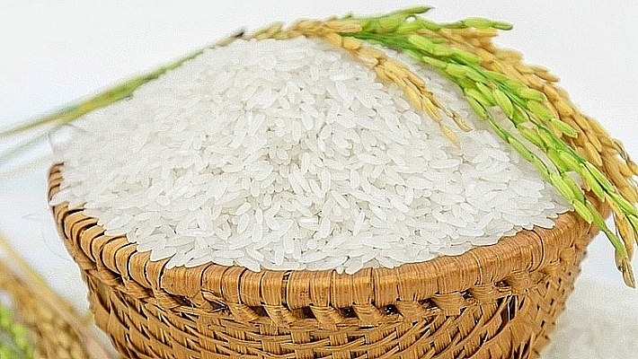 Gạo