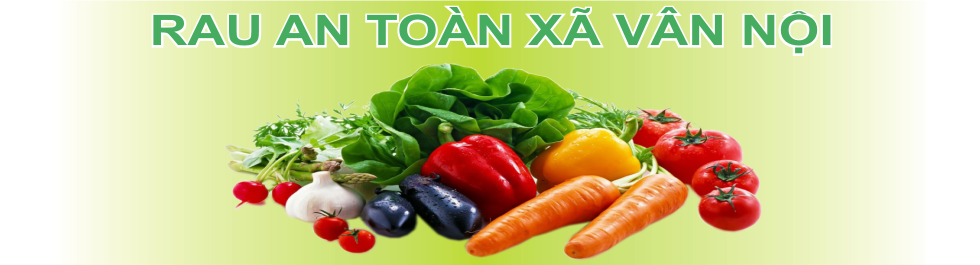 Rau củ miền Bắc