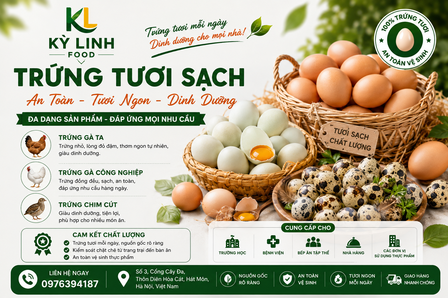 Trứng Gia Cầm