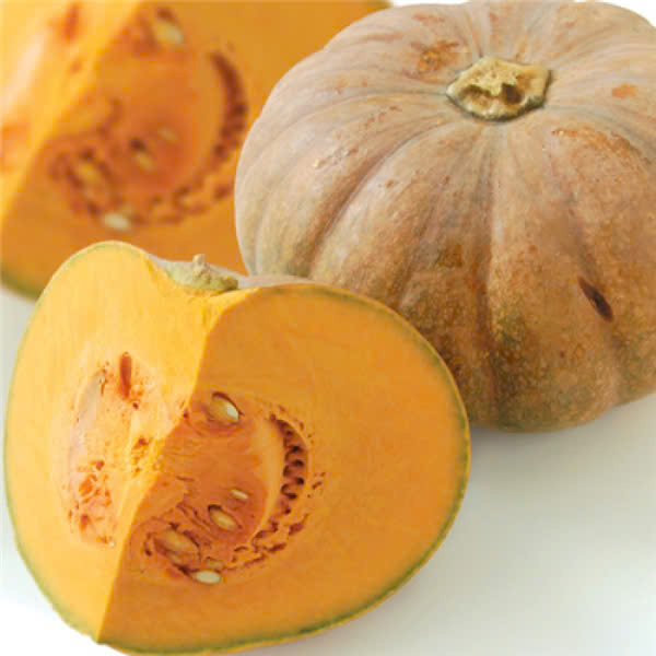 Bí đỏ
