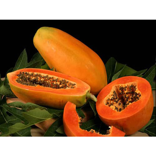 Đu đủ Nam Sơn