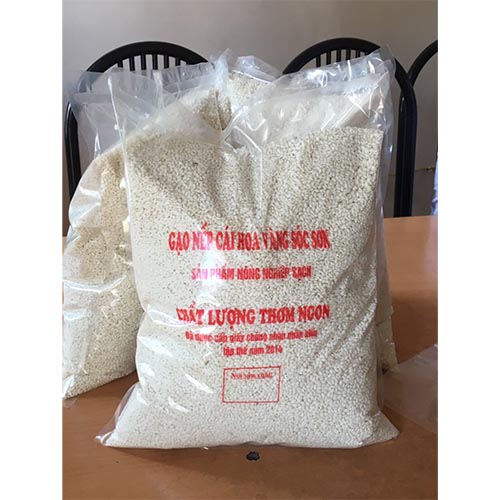 Gạo nếp cái hoa vàng