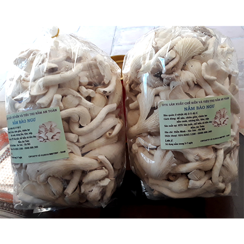 Nấm sò nâu