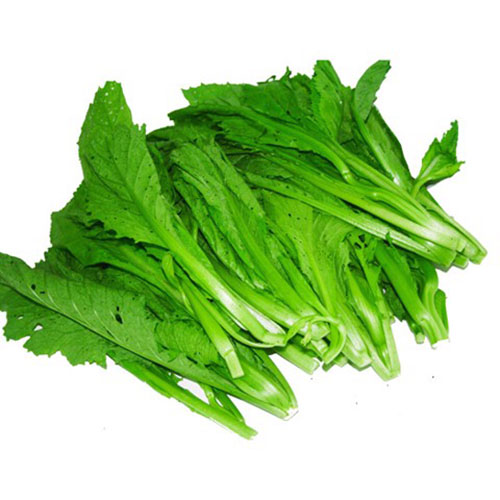 Rau cải xanh