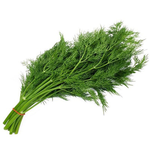 Thì là