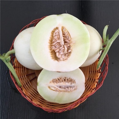 Dưa lê