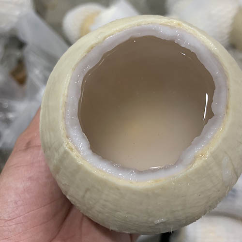 Dừa Gọt Bến Tre