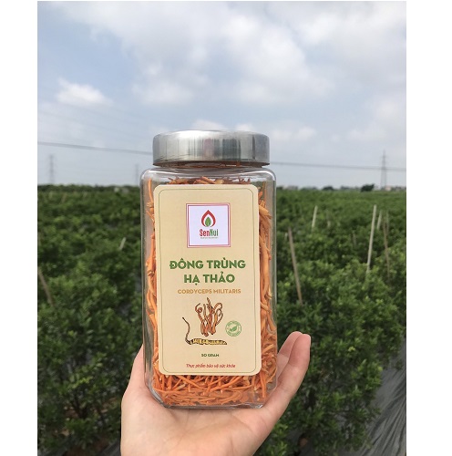 Đông trùng hạ thảo 50gram