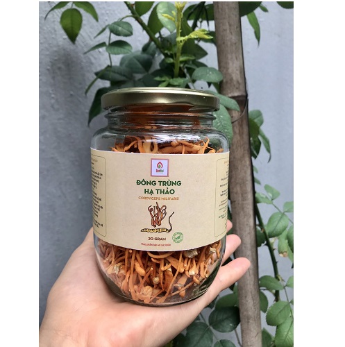Đông trùng hạ thảo 20gram