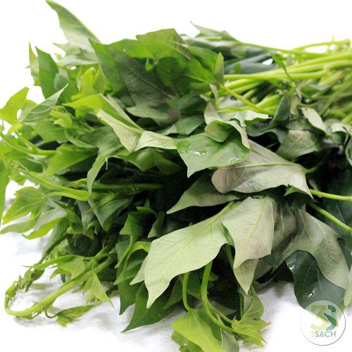 Rau khoai lang tím - Vinh Hà