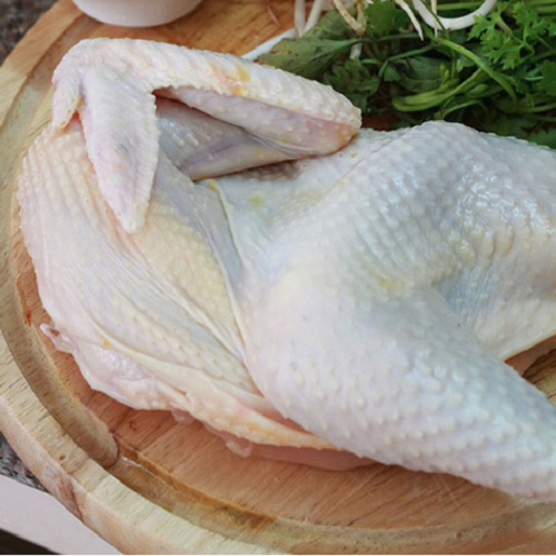 Thịt gà sạch Tú Hường
