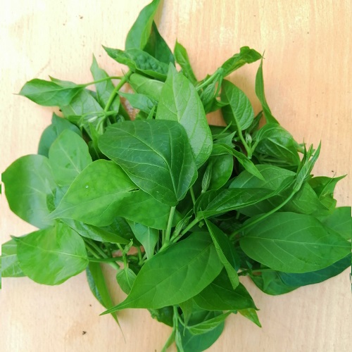 Rau mỏ hữu cơ Đại Ngàn