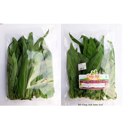 Bồ Công Anh Baby leaf