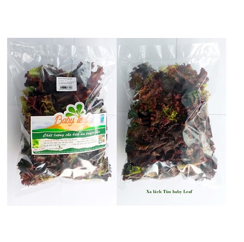 Xà lách tím Babyleaf