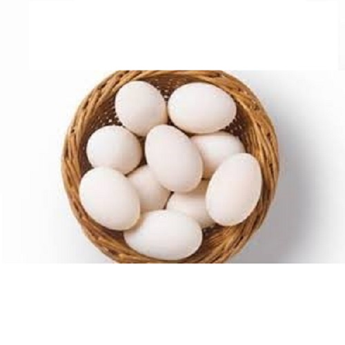 Trứng vịt