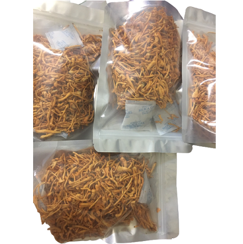 Đông trùng hạ thảo khô