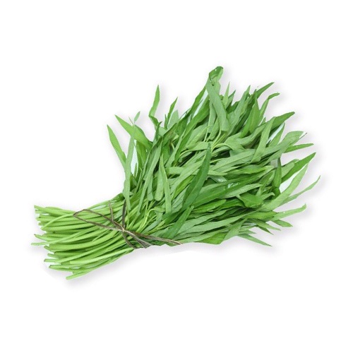 Rau muống