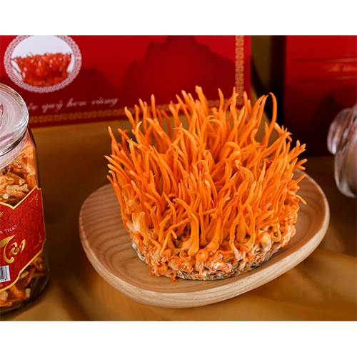 ĐÔNG TRÙNG HẠ THẢO TƯƠI – 100 Gram