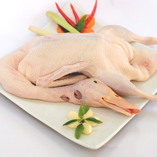 Vịt thịt