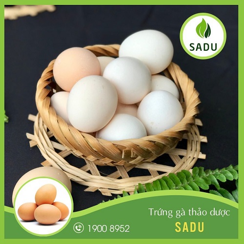 Trứng gà cà gai leo Sadu