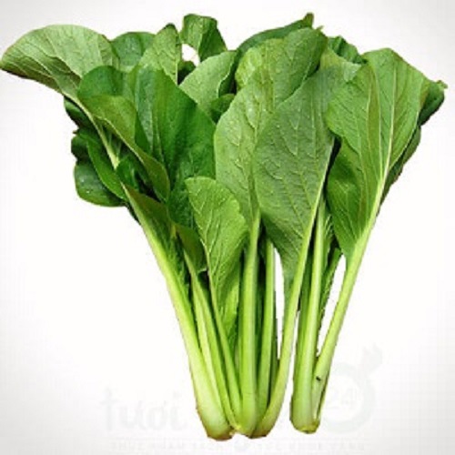 Rau cải xanh