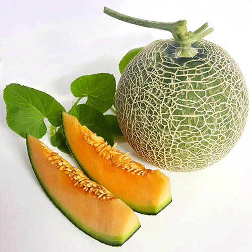 Dưa lưới