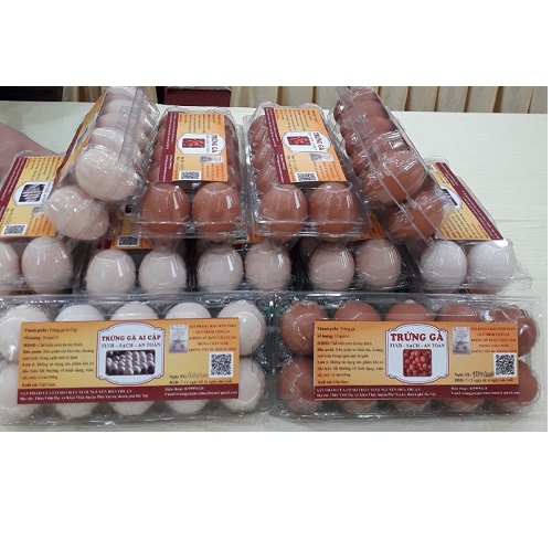 Trứng Gà Trắng Ai Cập
