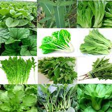 RAU LÁ, RAU MẦM CÁC LOẠI