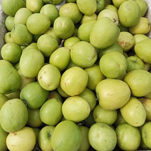 Táo đài loan