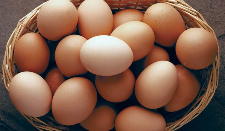 Trứng