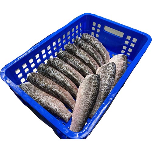 Cá trắm cỏ