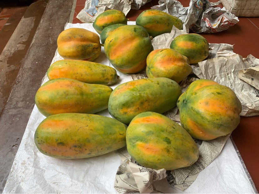 ĐU ĐỦ