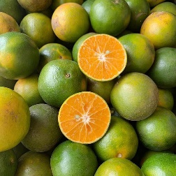 Quýt Sài Gòn