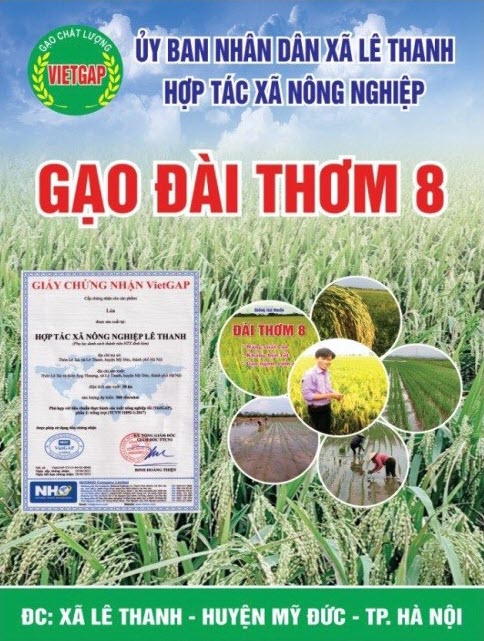 Gạo Đài Thơm 8