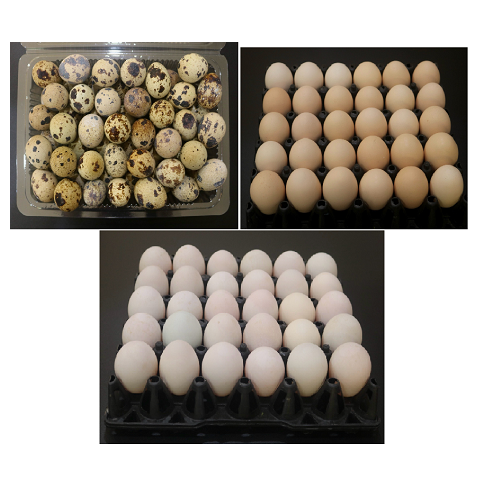 Trứng gia cầm